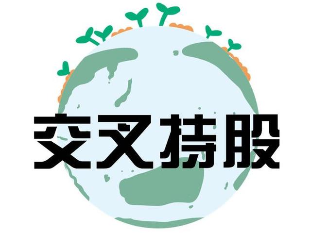 交叉持股安排设计(交叉持股怎么计算持股比例)喀什市